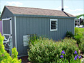 Shed blending with surroundings